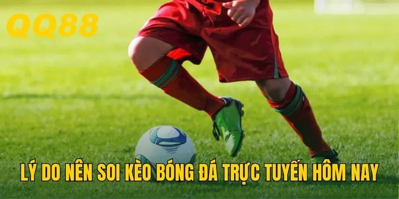 Lý do nên soi kèo bóng đá trực tuyến hôm nay